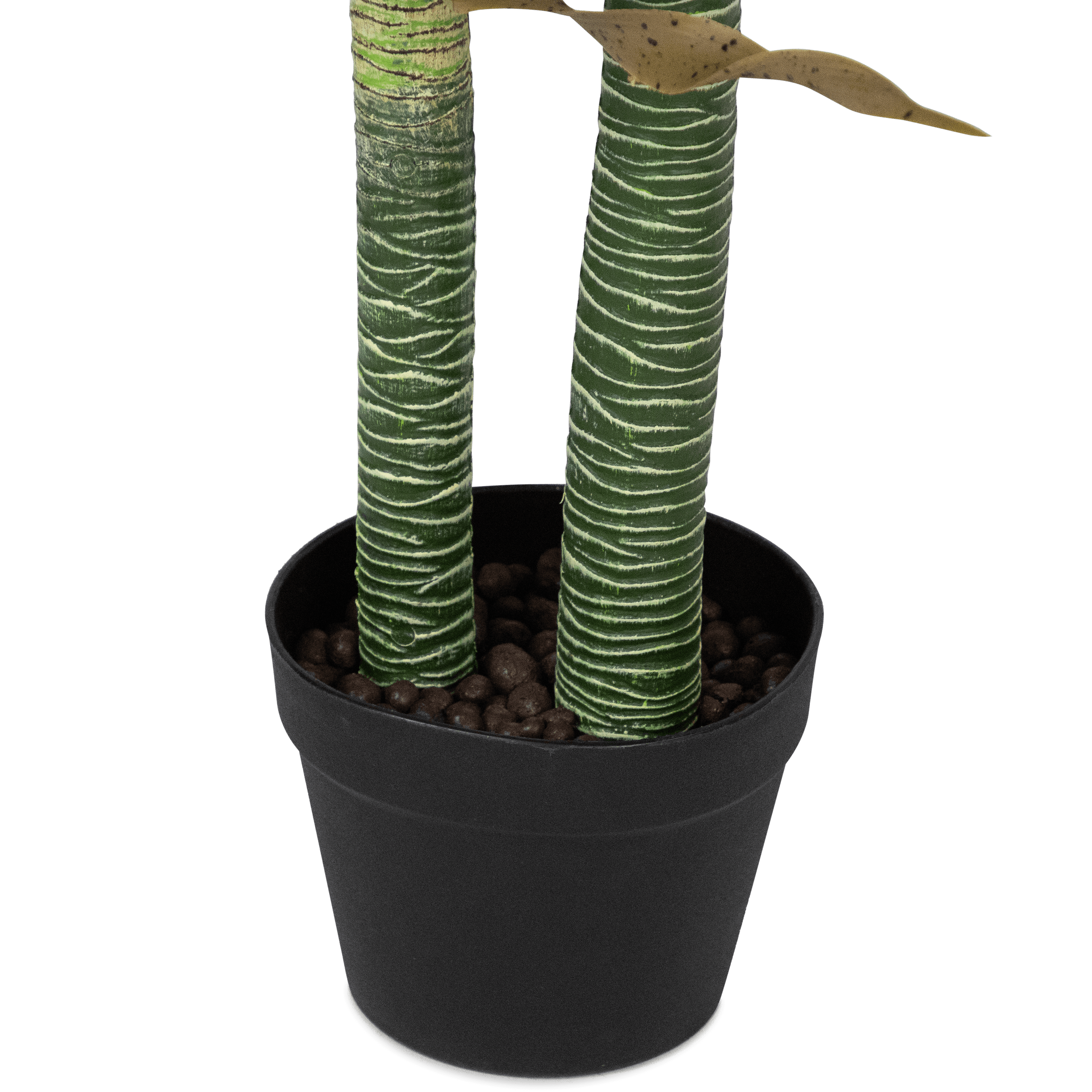 Yucca 120cm