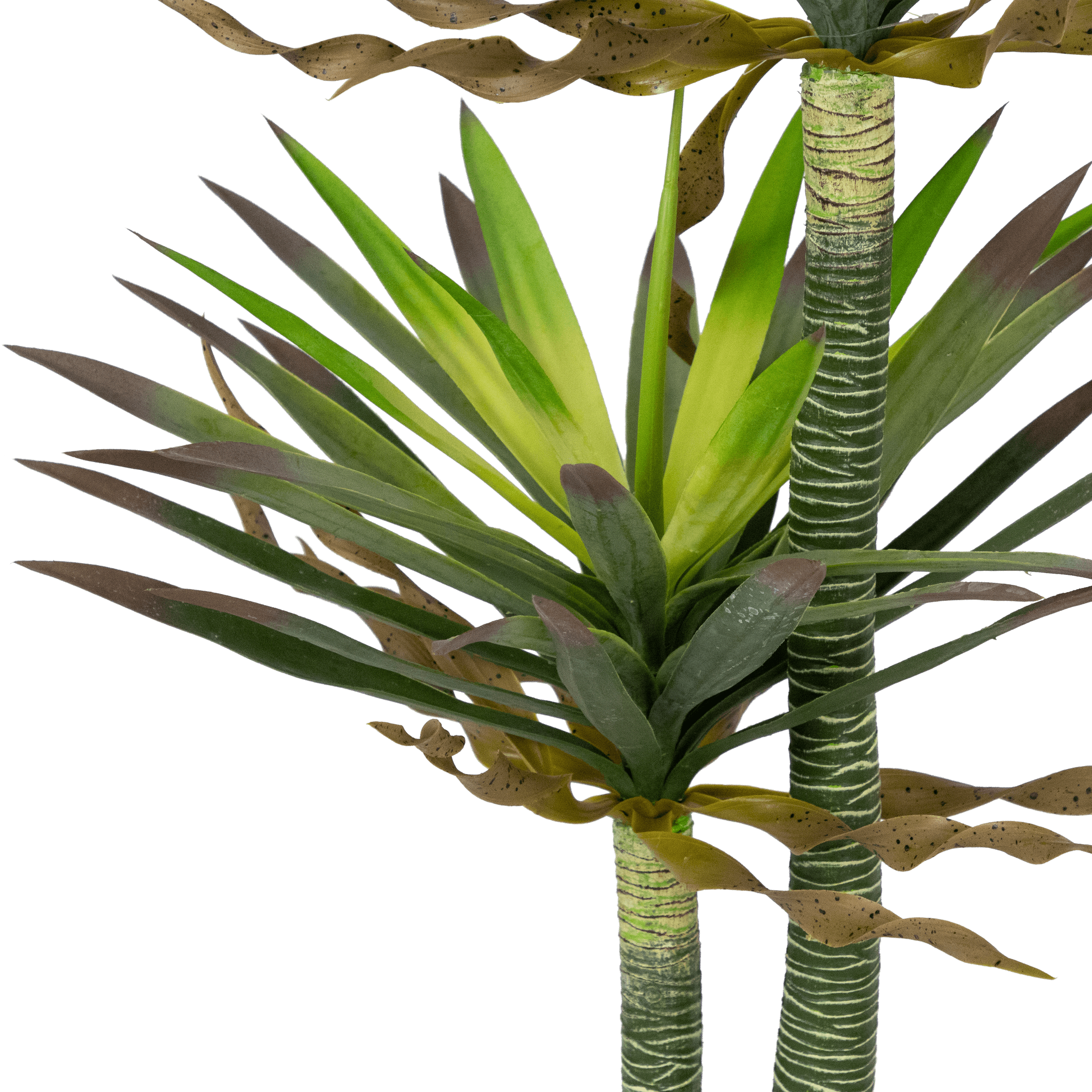 Yucca 120cm