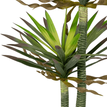 Yucca 120cm