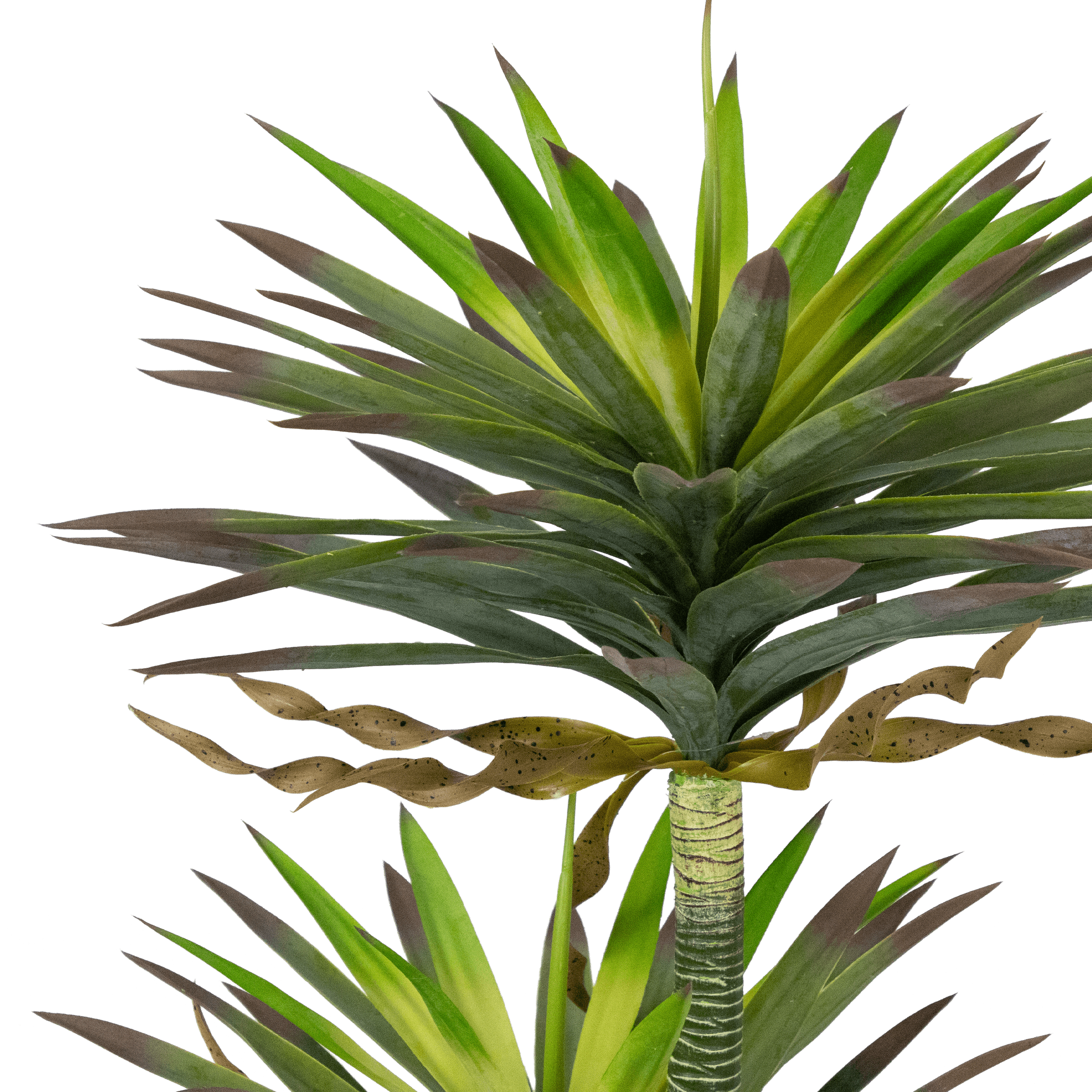 Yucca 120cm