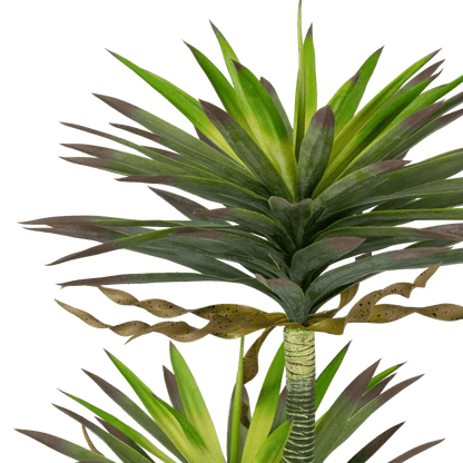 Yucca 120cm