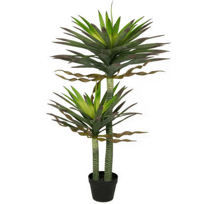 Yucca 120cm