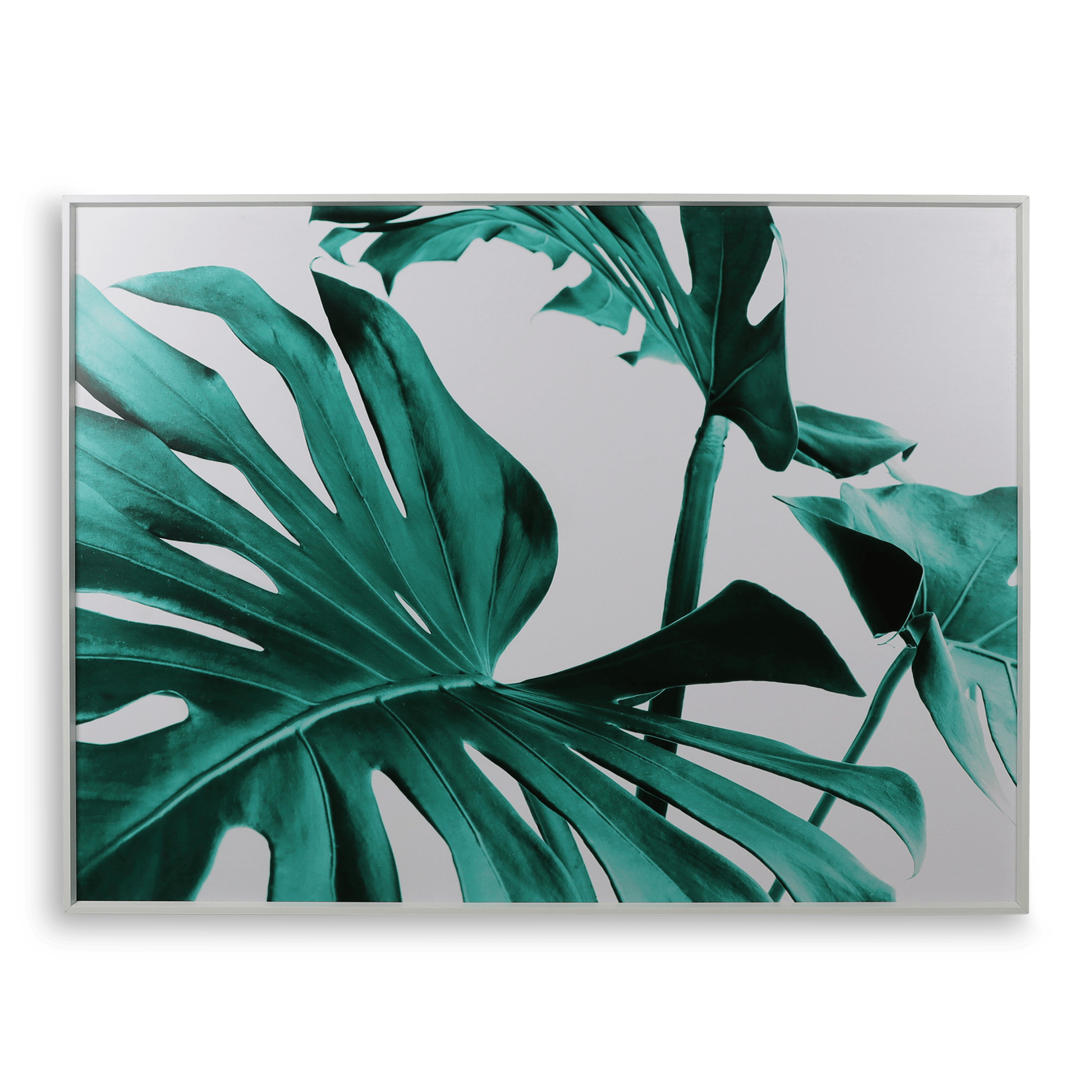 Greenpeace 1 - 60x80cm Outdoor UV Wall Art with Aluminium Frame - The Furniture Shack