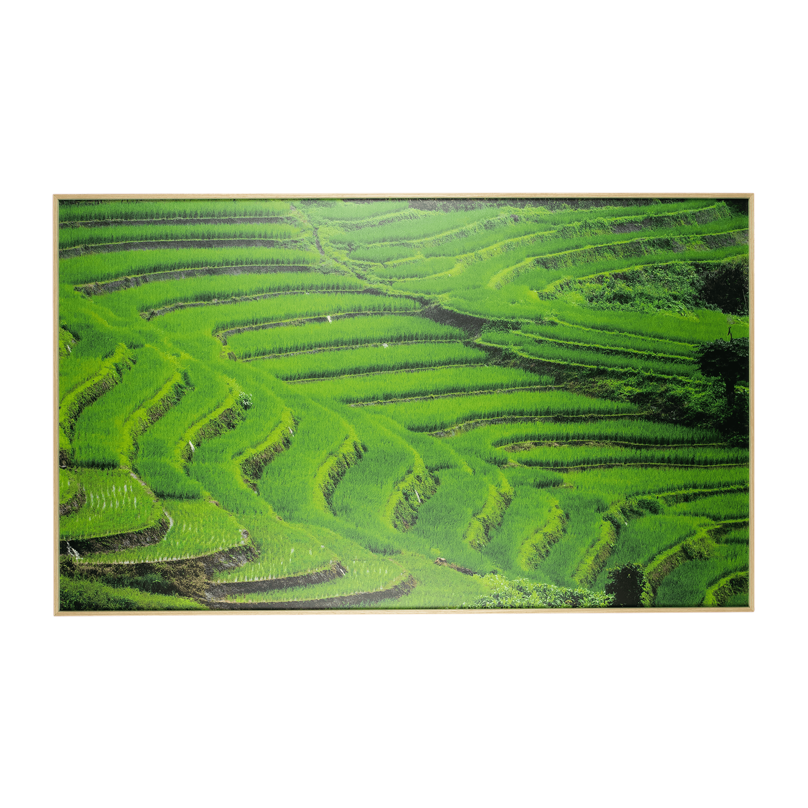 Ubud Dreaming 2 - 60 x 100cm Outdoor UV Wall Art with Beech Aluminium Frame - The Furniture Shack